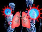 ilustrasi-organ-paru-paru-terpapar-polusi-udara.jpg
