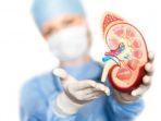 ilustrasi-pemeriksaan-urology-oleh-dokter.jpg