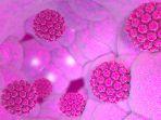 ilustrasi-penampakan-virus-hpv-begini-pemaparanjpg.jpg