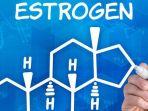 ilustrasi-perbaikan-hormon-estrogen-agar-meningkat.jpg