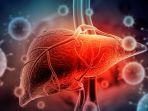 ilustrasi-seseorang-alami-gangguan-liver.jpg