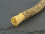 ilustrasi-siwak-atau-miswak.jpg