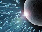 ilustrasi-sperma-normal-pada-pria.jpg