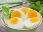 ilustrasi-telur-ayam-yang-mengandung-tinggi-protein.jpg