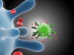 ilustrasi-terinfeksi-human-papillomavirus-hpv.jpg