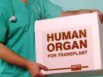 ilustrasi-transplantasi-organ.jpg