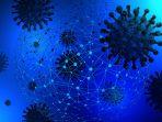 ilustrasi-virus-corona-covid-19.jpg