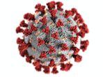 ilustrasi-virus-corona-varian-baru-covid.jpg