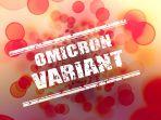 ilustrasi-virus-corona-varian-omicron-b.jpg