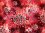 ilustrasi-virus-corona-varian-omicron-zc.jpg
