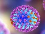 ilustrasi-virus-g4.jpg