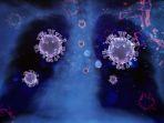 infeksi-paru-akibat-virus-covid-19.jpg
