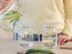 infused-water-mentimun.jpg