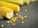 jagung-4.jpg