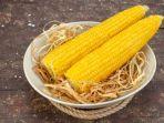 jagung2.jpg