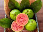 jambu-biji.jpg