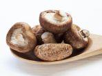 jamur-shitake.jpg