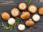 jamur-shitake_1.jpg