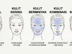 jenis-kulit-1.jpg