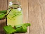 jus-lidah-buaya_21.jpg