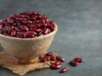 kacang-merah_a3.jpg