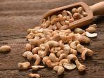 kacang-mete-1.jpg