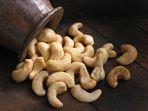 kacang-mete-3.jpg