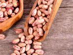 kacang-pinto.jpg