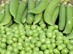 kacang-polong_2.jpg