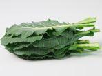 kale3.jpg