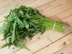 kangkung-1.jpg