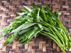 kangkung-2.jpg