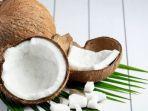 kelapa_2.jpg
