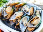 kerang-kaya-omega-3.jpg
