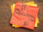 kolesterol-8.jpg