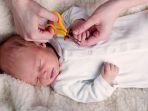 kuku-bayi-1.jpg