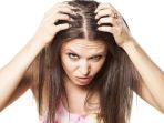 kutu-rambut-3.jpg