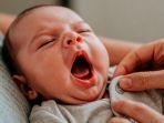lidah-bayi_2.jpg
