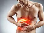 liver-2.jpg