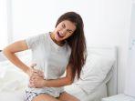 liver-4.jpg