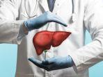 liver.jpg