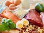 makanan-tinggi-protein.jpg