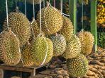manfaat-durian-untuk-pengidap-diabetes.jpg