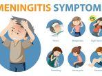 meningitis-7.jpg