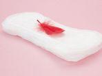 menstruasi.jpg
