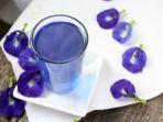 minuman-bunga-telang.jpg