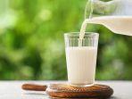 minuman-susu.jpg