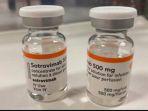 obat-sotrovimab.jpg