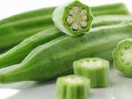 okra-3.jpg