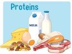 protein-5.jpg